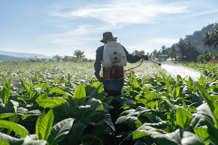 Toxic Chemicals in Global Food System Causing $3 Trillion a Year in Health and Environmental Costs – New Report