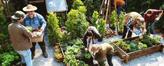 Community gardeners